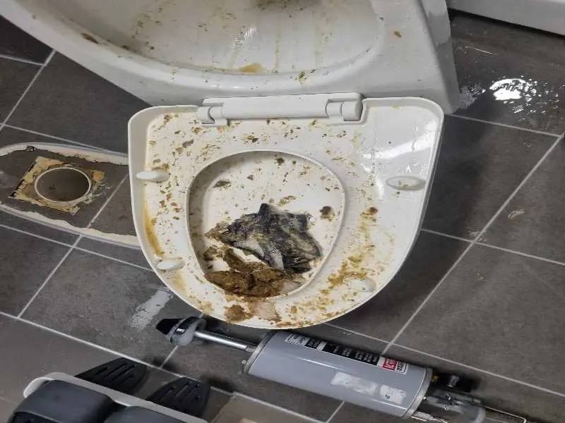 파주 변기막힘 작업사례 4